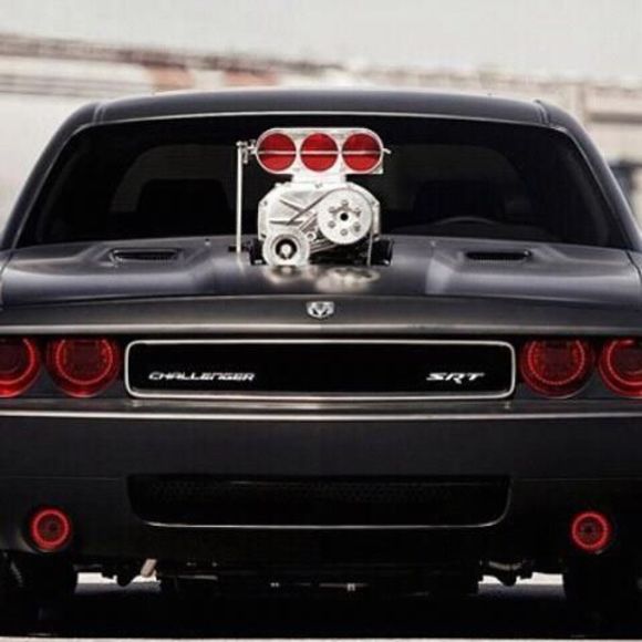 Meet your Posher, Peter - Picture 1 of 1